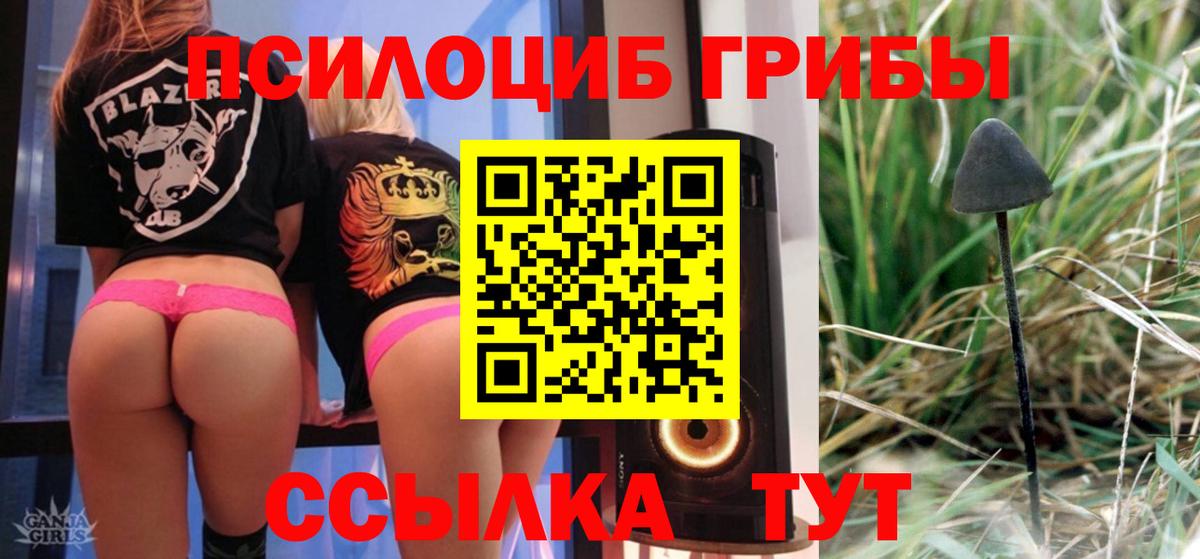 Галлюциногенные грибы MAGIC MUSHROOMS Дубна